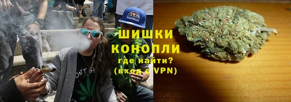 Альфа ПВП Аркадак