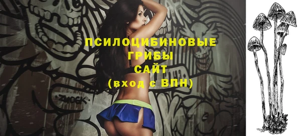 Альфа ПВП Аркадак