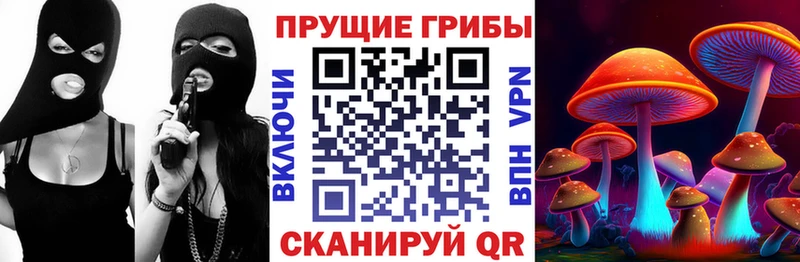 Галлюциногенные грибы Magic Shrooms  ОМГ ОМГ как зайти  Старая Купавна 