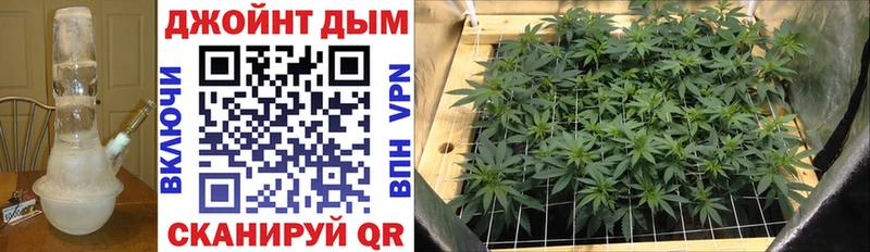 где можно купить   Старая Купавна  Каннабис Bruce Banner 